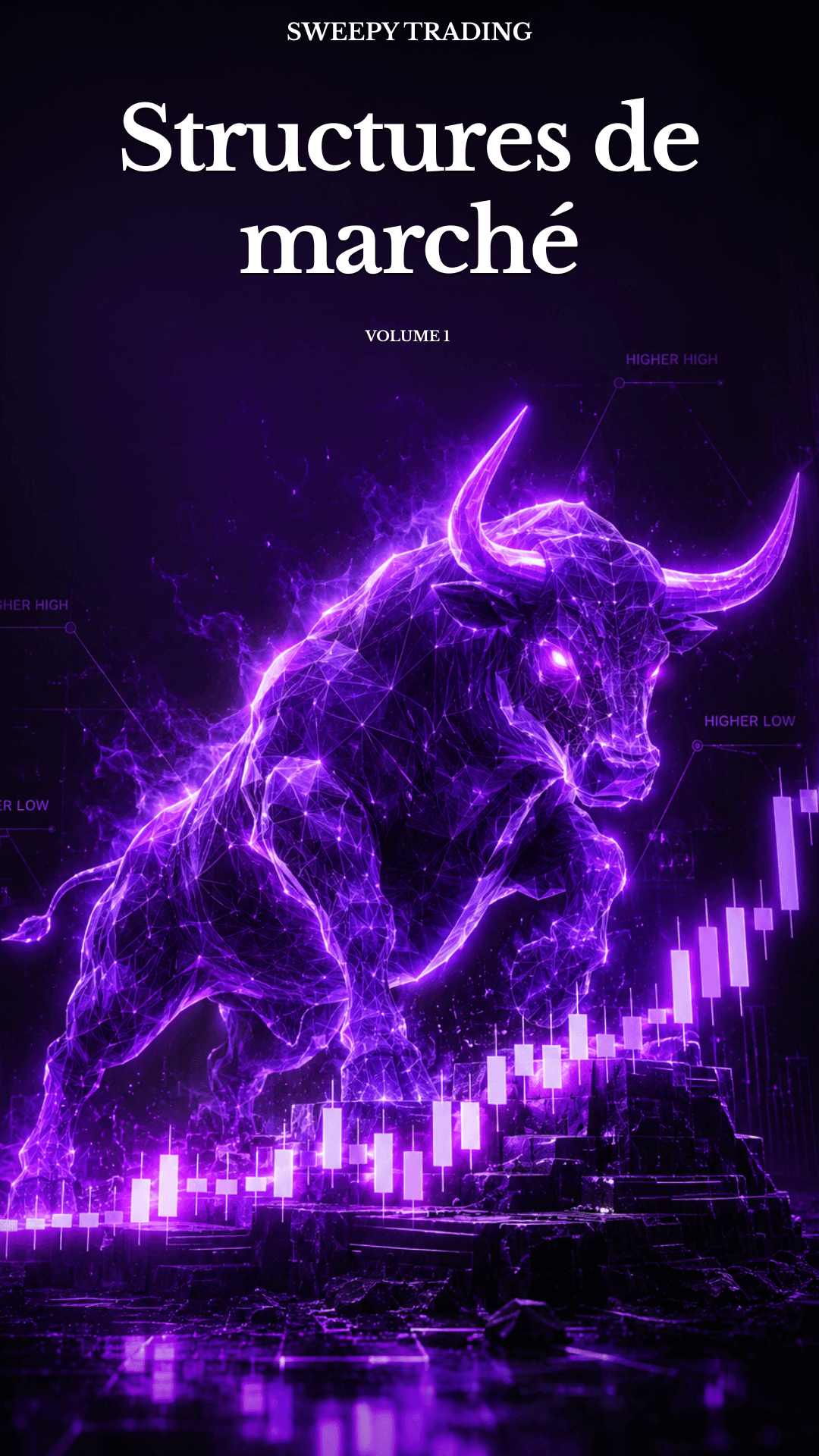 Couverture du PDF sur la structure de marché